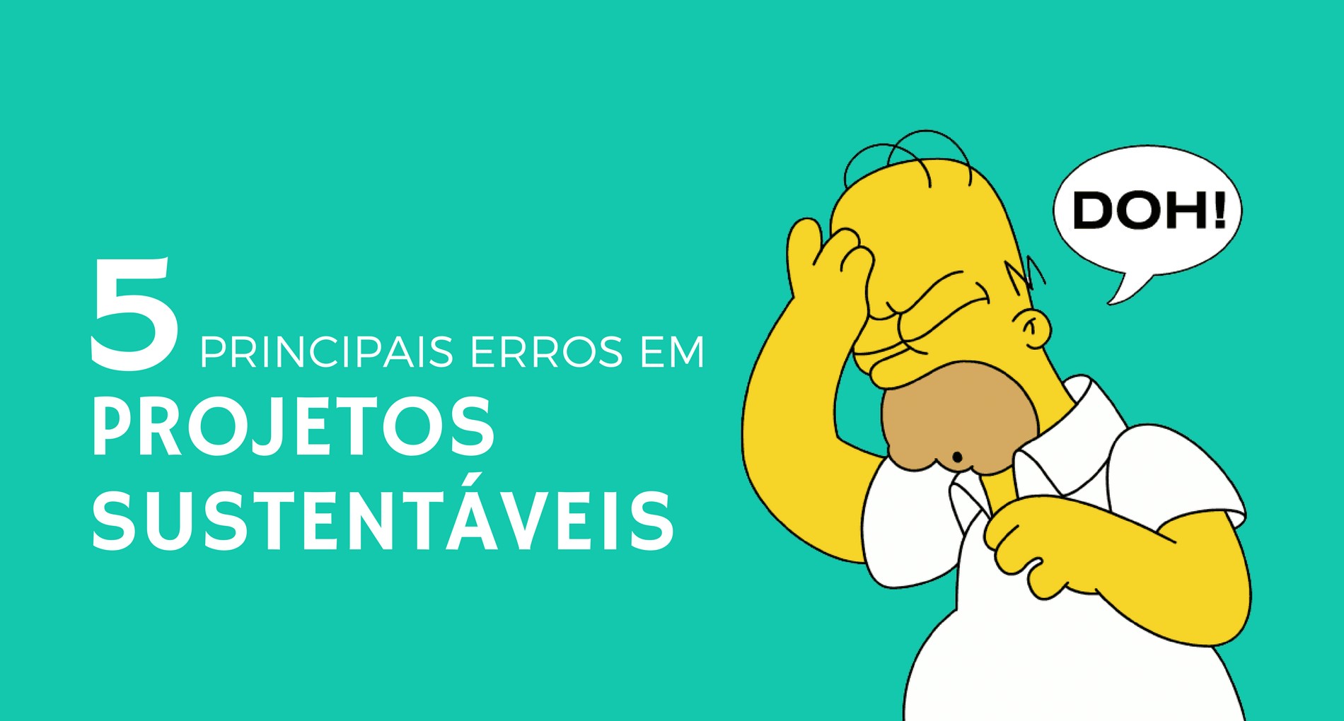 erros em projetos sustentaveis